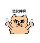Persian CAT POLLY（個別スタンプ：13）