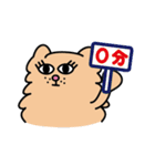 Persian CAT POLLY（個別スタンプ：14）