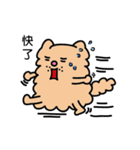 Persian CAT POLLY（個別スタンプ：15）