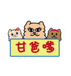 Persian CAT POLLY（個別スタンプ：16）