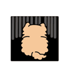 Persian CAT POLLY（個別スタンプ：18）