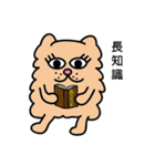 Persian CAT POLLY（個別スタンプ：24）