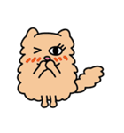 Persian CAT POLLY（個別スタンプ：29）