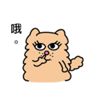 Persian CAT POLLY（個別スタンプ：36）