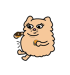 Persian CAT POLLY（個別スタンプ：38）
