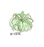 love plants（個別スタンプ：31）