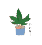love plants（個別スタンプ：38）