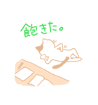 看護学生のネコ（個別スタンプ：38）