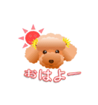 トイプードル コナとレイニ（個別スタンプ：1）