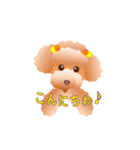トイプードル コナとレイニ（個別スタンプ：3）