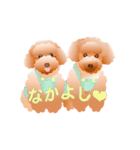 トイプードル コナとレイニ（個別スタンプ：9）