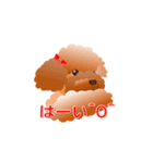 トイプードル コナとレイニ（個別スタンプ：11）