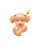 トイプードル コナとレイニ（個別スタンプ：13）