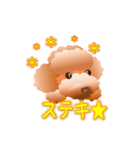 トイプードル コナとレイニ（個別スタンプ：14）