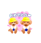 トイプードル コナとレイニ（個別スタンプ：18）
