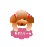 トイプードル コナとレイニ（個別スタンプ：25）