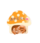 トイプードル コナとレイニ（個別スタンプ：29）