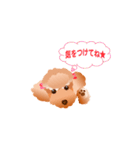 トイプードル コナとレイニ（個別スタンプ：30）
