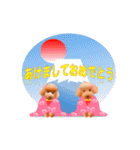 トイプードル コナとレイニ（個別スタンプ：40）