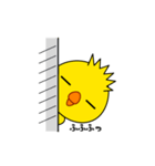 ヒヨコのぴよまる（個別スタンプ：33）