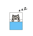 ブサ猫のココ（個別スタンプ：7）