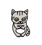 ブサ猫のココ（個別スタンプ：13）