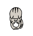 ブサ猫のココ（個別スタンプ：14）