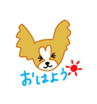 わんこの相づちスタンプ（個別スタンプ：17）