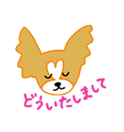 わんこの相づちスタンプ（個別スタンプ：31）