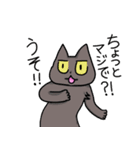 akaさんちの猫たち（個別スタンプ：1）