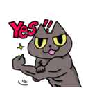 akaさんちの猫たち（個別スタンプ：17）