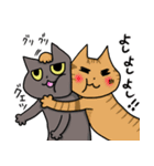 akaさんちの猫たち（個別スタンプ：23）