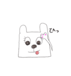 ただのうさぎ。（個別スタンプ：13）