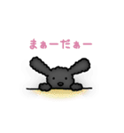 トイプードルのぴちこ（個別スタンプ：1）