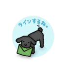 トイプードルのぴちこ（個別スタンプ：2）
