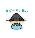 トイプードルのぴちこ（個別スタンプ：3）