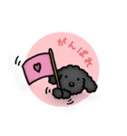 トイプードルのぴちこ（個別スタンプ：7）