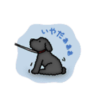 トイプードルのぴちこ（個別スタンプ：10）