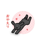 トイプードルのぴちこ（個別スタンプ：18）