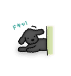 トイプードルのぴちこ（個別スタンプ：22）