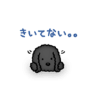 トイプードルのぴちこ（個別スタンプ：24）