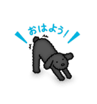 トイプードルのぴちこ（個別スタンプ：28）