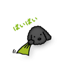 トイプードルのぴちこ（個別スタンプ：35）