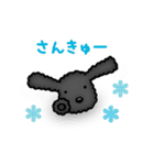 トイプードルのぴちこ（個別スタンプ：38）