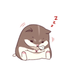 Hamster's daily（個別スタンプ：7）