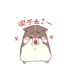 Hamster's daily（個別スタンプ：10）