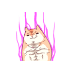 Hamster's daily（個別スタンプ：13）