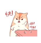 Hamster's daily（個別スタンプ：15）