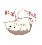 Hamster's daily（個別スタンプ：16）