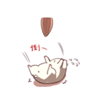 Hamster's daily（個別スタンプ：19）